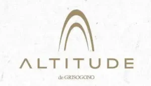 Altitude logo design by graphic designer in dubai